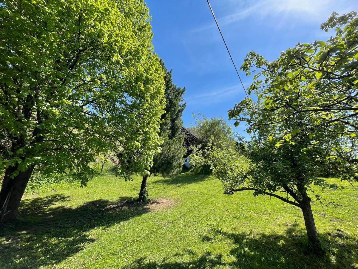 Villa Ferienhuette Bosic à Baierdorf Extérieur photo