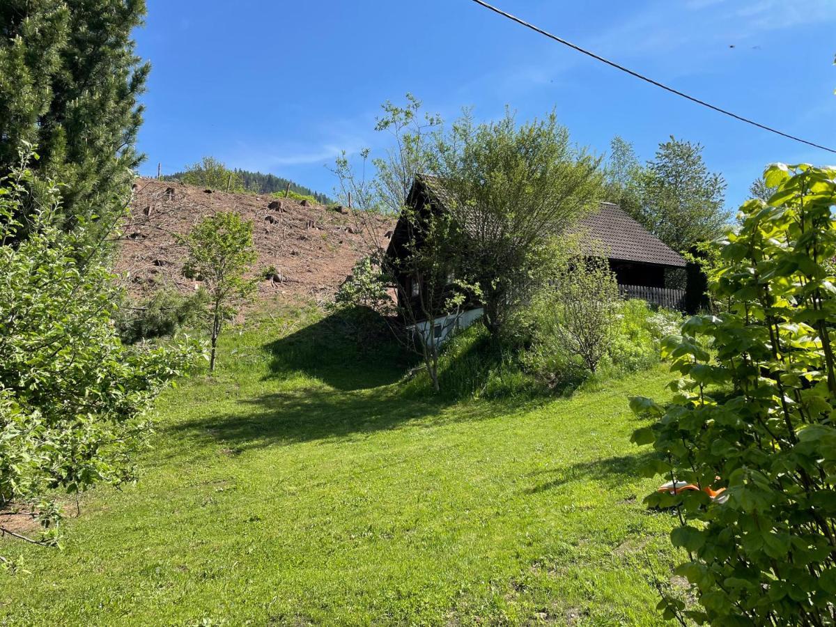 Villa Ferienhuette Bosic à Baierdorf Extérieur photo